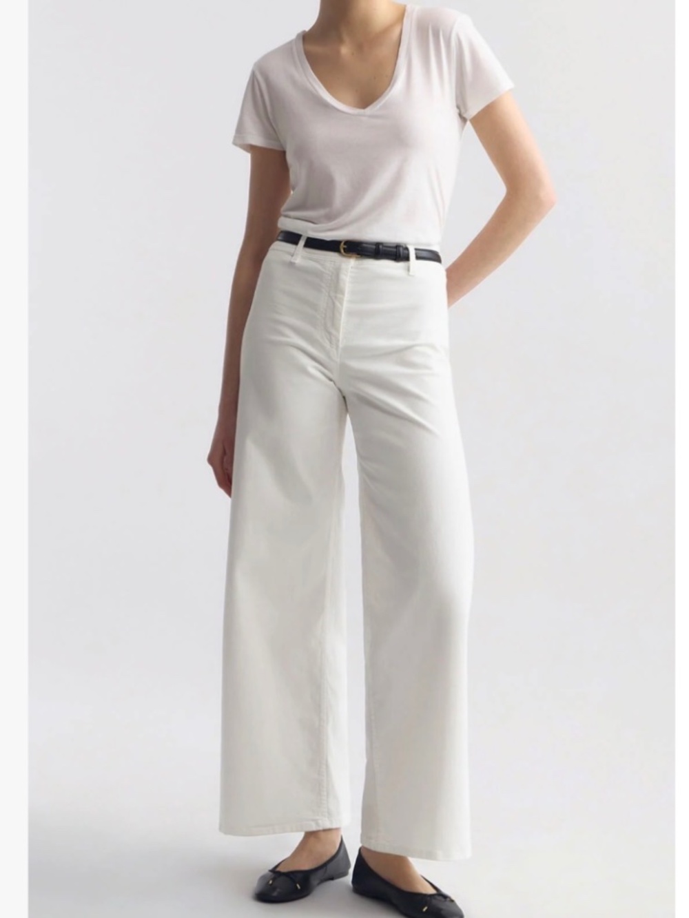 NILI LOTAN Megan Wide Leg  Pants White Sz 4 NNT